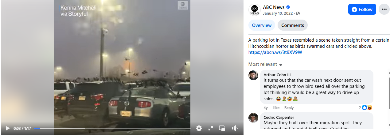 Iran Israel war viral video, Tel Aviv, Crow viral video, 
