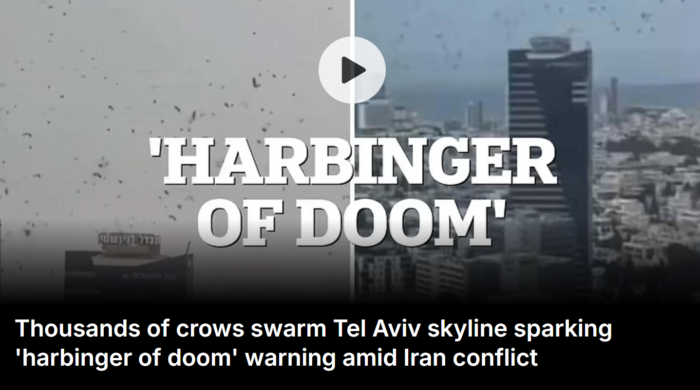 Iran Israel war viral video, Tel Aviv, Crow viral video, 